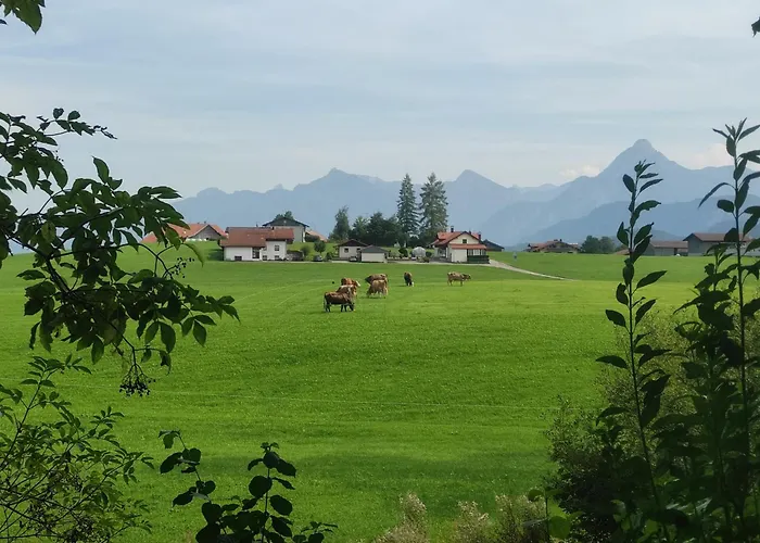 Pension Weisser Hirsch