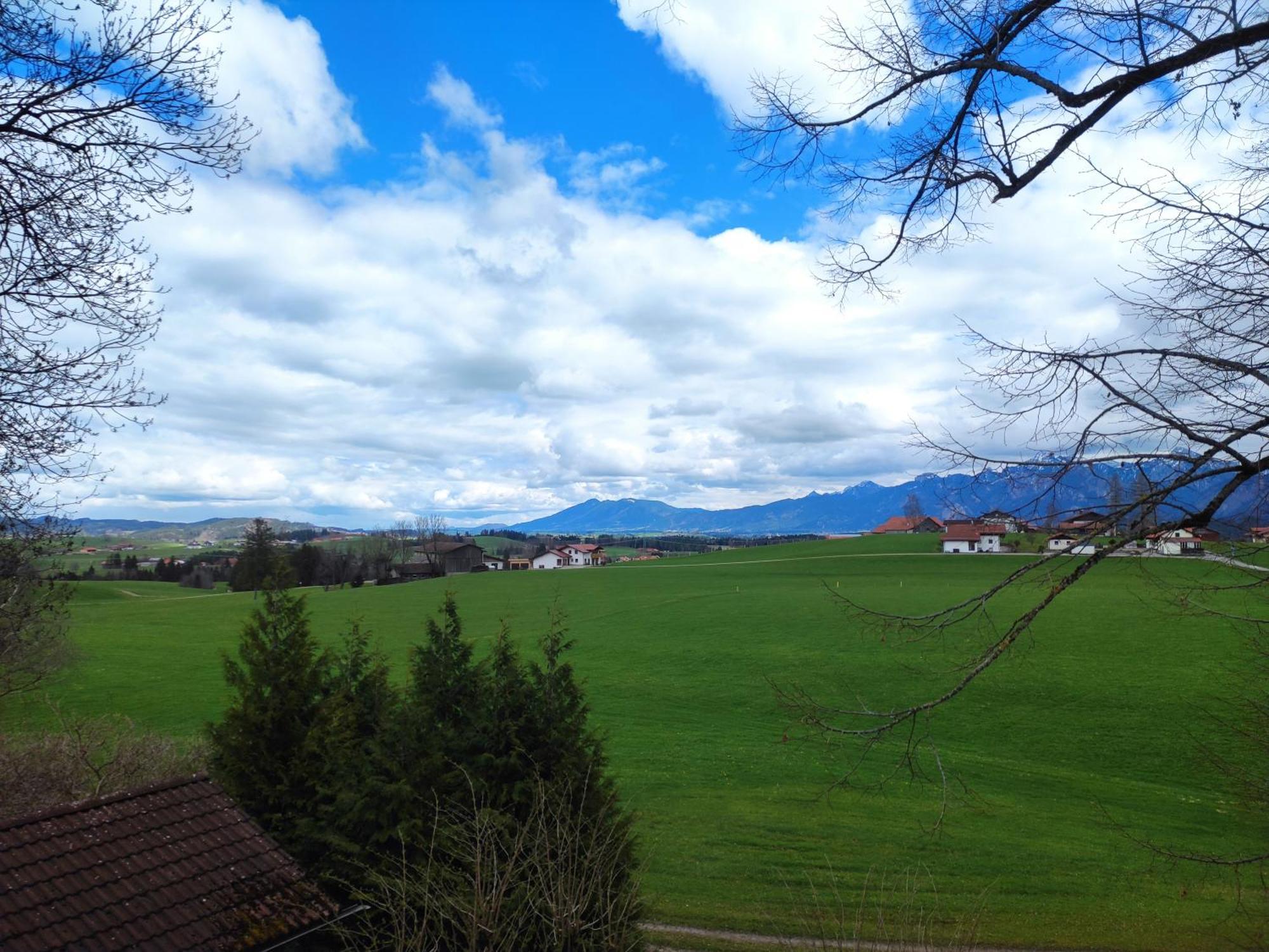 Weisser Hirsch