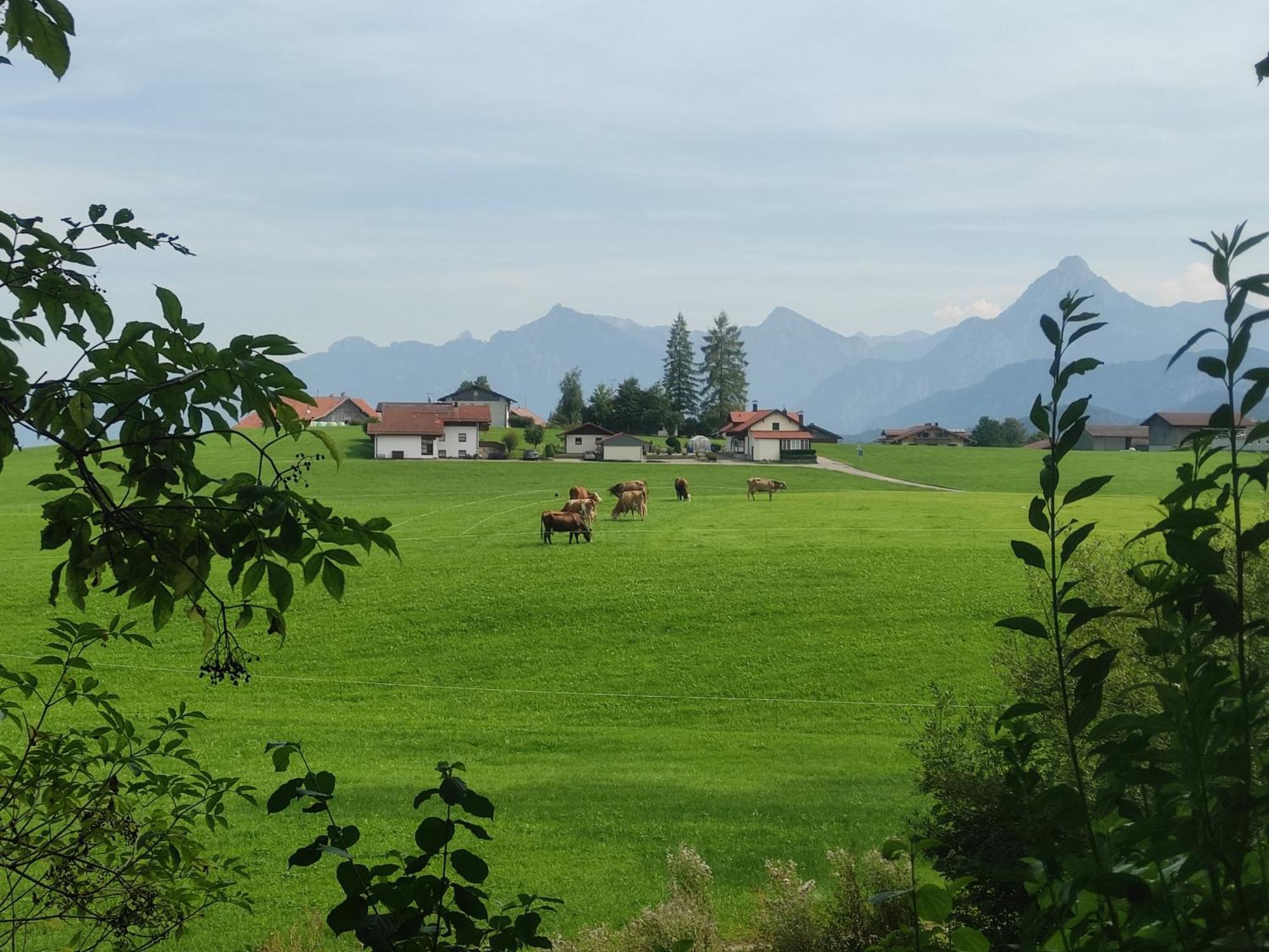 Weisser Hirsch Bed & Breakfast Füssen
