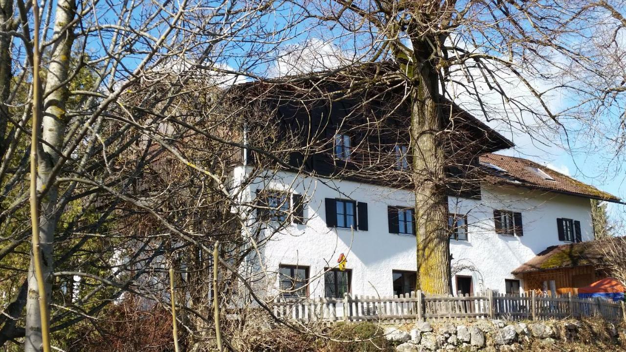 Weisser Hirsch Füssen